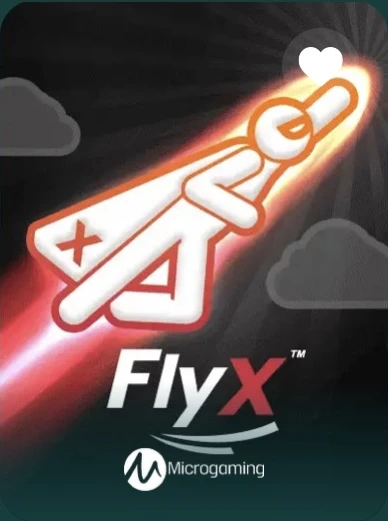 FlyX